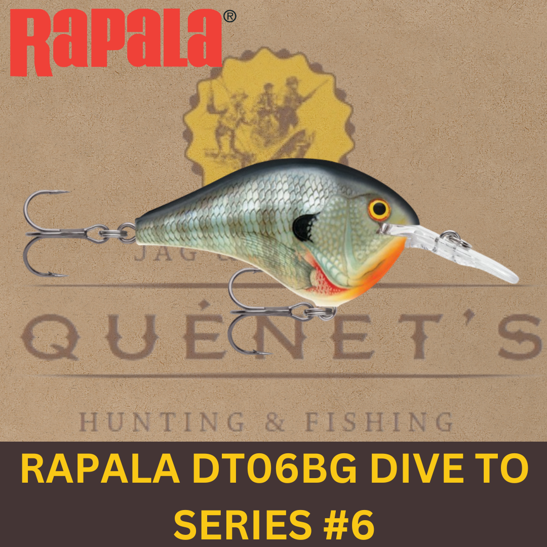 RAPALA DT06BG DIVE TO SERIES #6