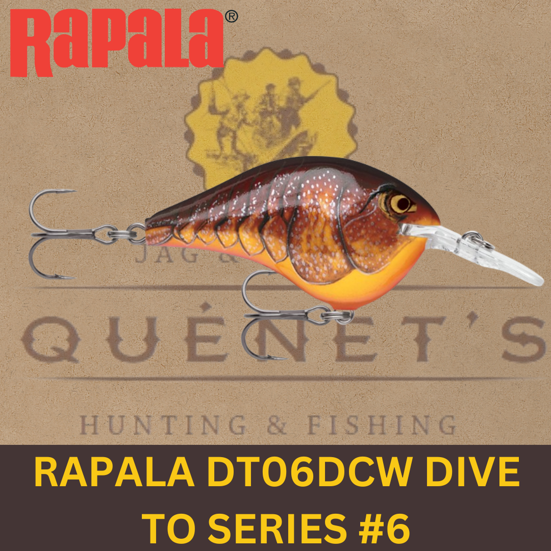 RAPALA DT06DCW DIVE TO SERIES #6