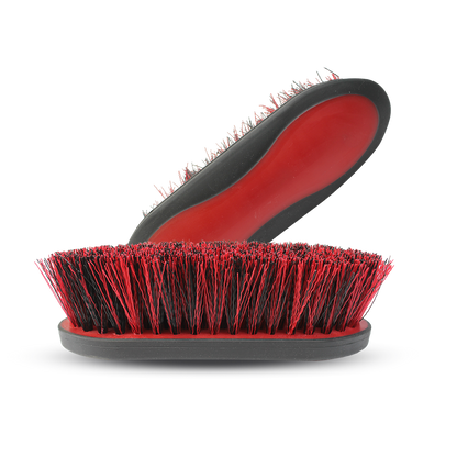 SHOW TIME DANDY BRUSH