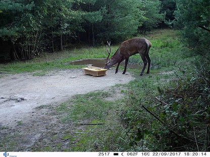 TRAILCAM ICU CAM 5